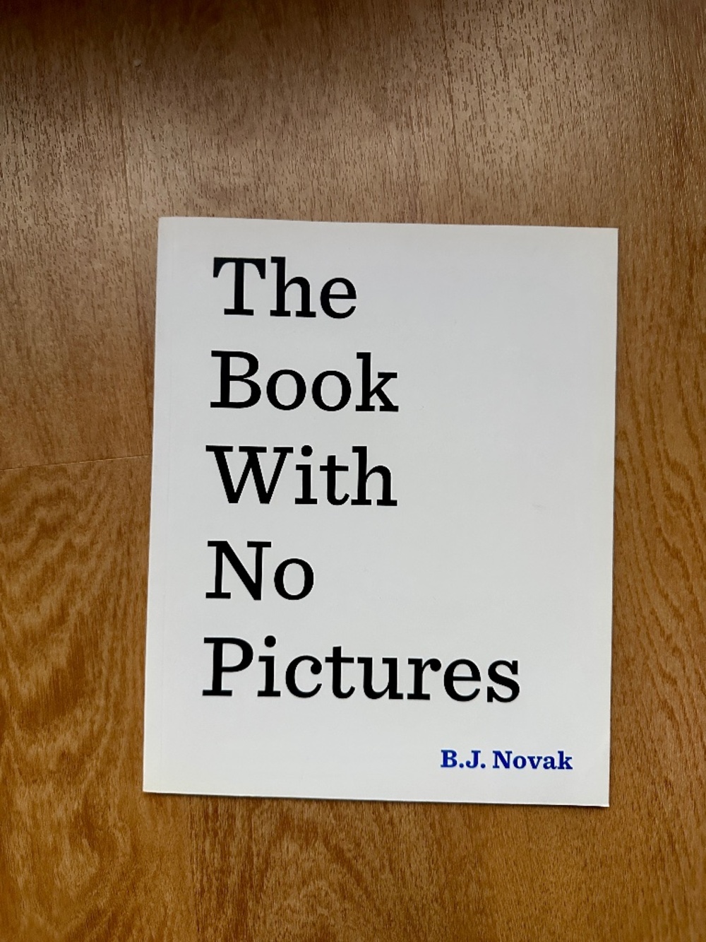 The Book with No Pictures BJ Novak Paperback Kids Book NEW